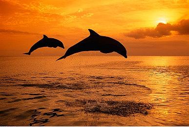 《博德之门3》现已通过Steam Deck兼容性验证