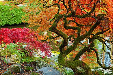 《卧龙：苍天陨落》DLC“称霸江东”主视图 9月27日上线 